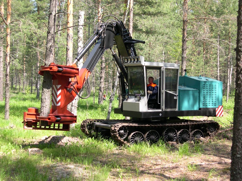 lesagroservice.ru